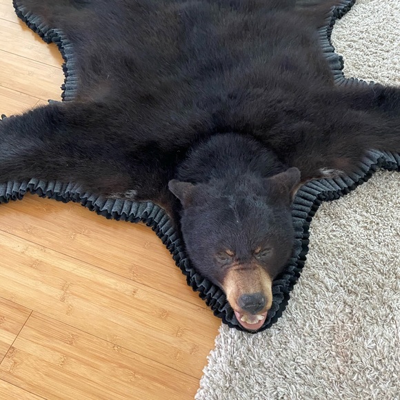 Handmade bear rug - Picture 7 of 10